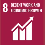 SDG 8 Decent Work