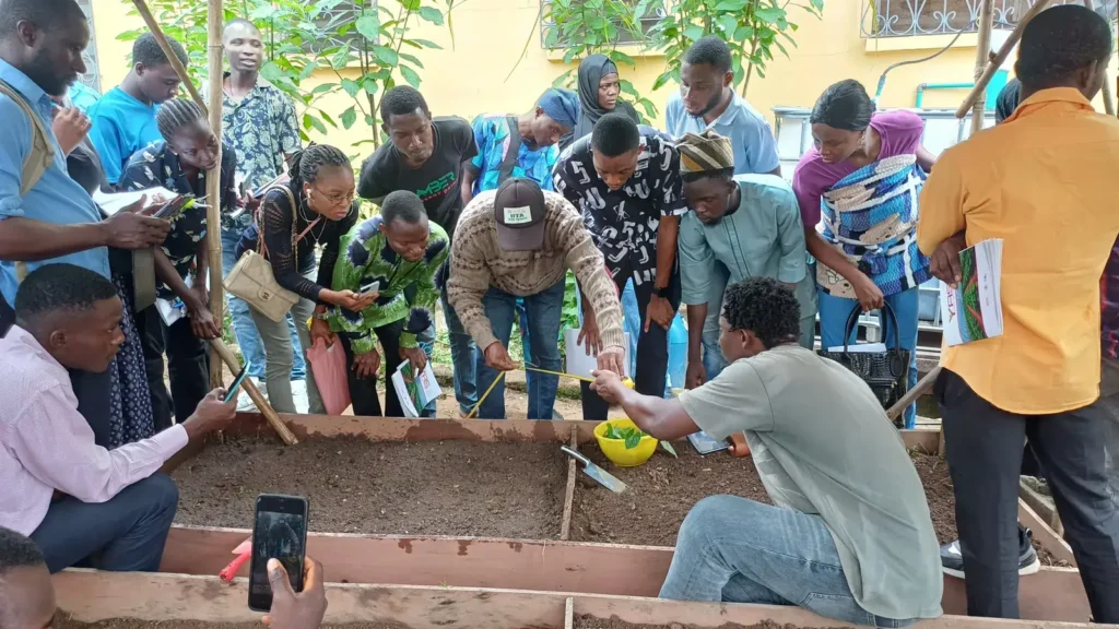 Innovative Seed Yam Training, photograph 1